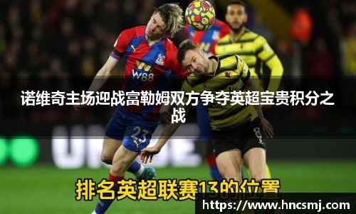 诺维奇主场迎战富勒姆双方争夺英超宝贵积分之战
